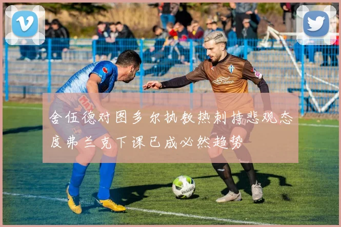舍伍德对图多尔执教热刺持悲观态度弗兰克下课已成必然趋势