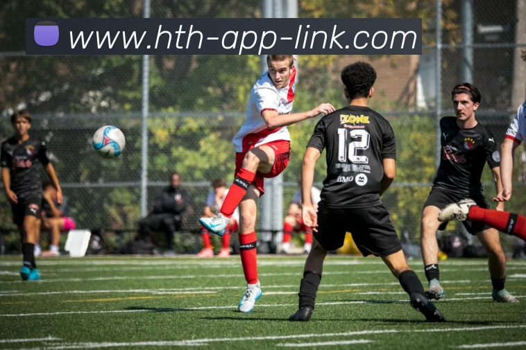 多媒体互动体验